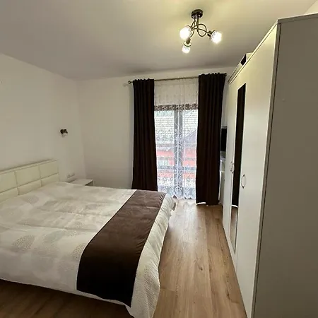 Pensiunea Floro Guest house *