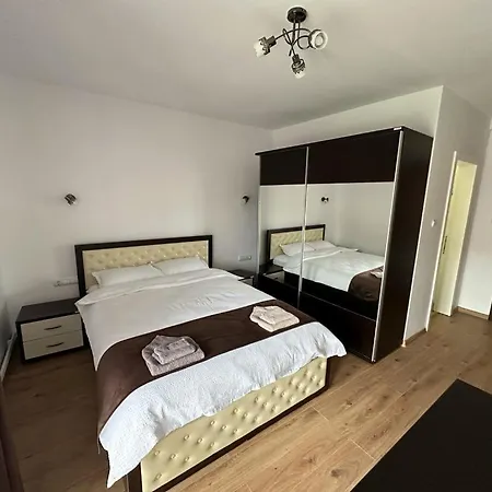 Guest house Pensiunea Floro *