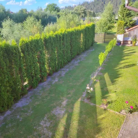 Guest house Pensiunea Floro